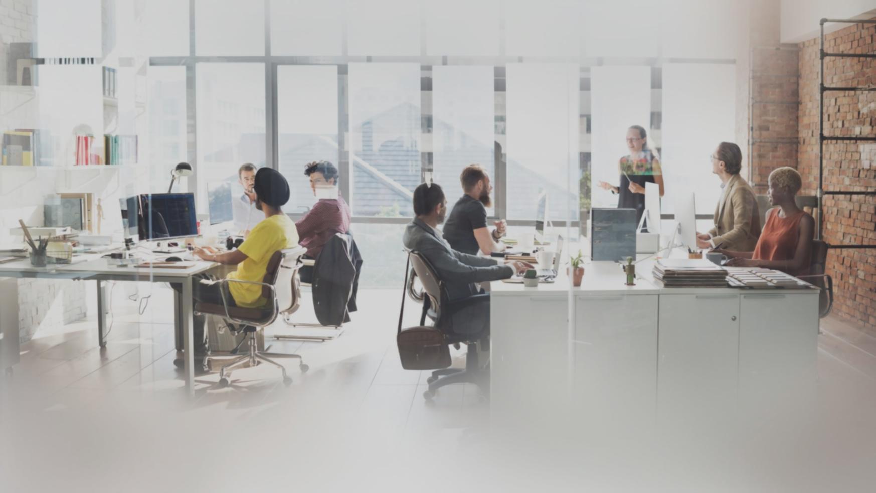 pleravonixa team collaborating on financial planning strategies